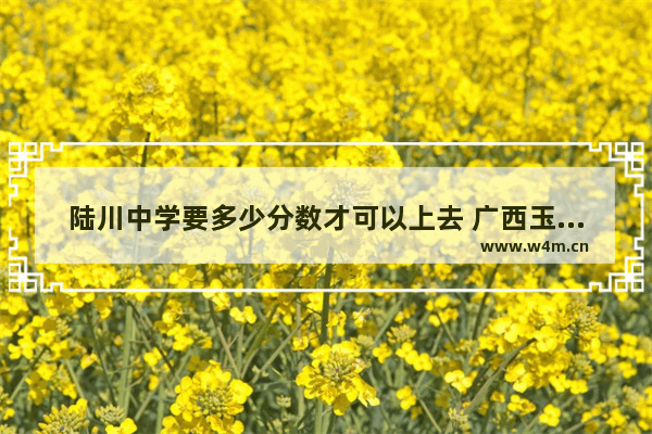 陆川中学要多少分数才可以上去 广西玉林地区高考分数线