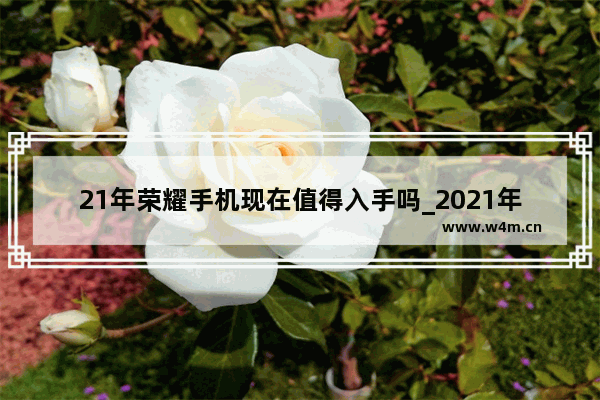 21年荣耀手机现在值得入手吗_2021年荣耀手机最强五款