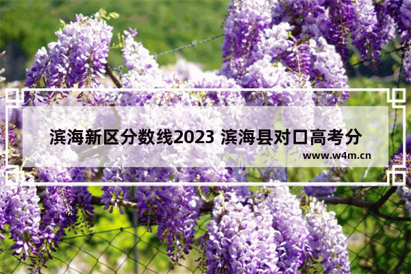 滨海新区分数线2023 滨海县对口高考分数线