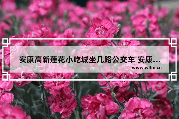 安康高新莲花小吃城坐几路公交车 安康美食推荐高新区