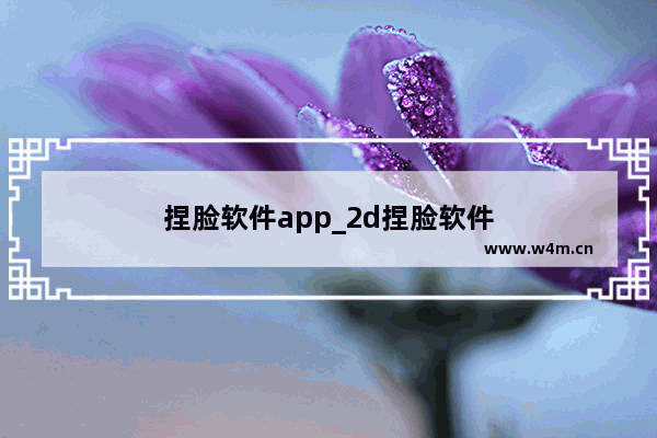 捏脸软件app_2d捏脸软件