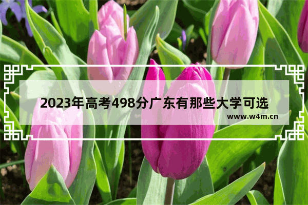 2023年高考498分广东有那些大学可选 广东大学高考分数线公布