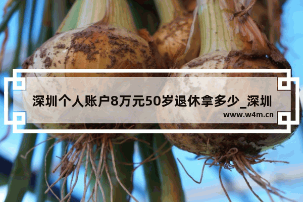 深圳个人账户8万元50岁退休拿多少_深圳什么车最好卖