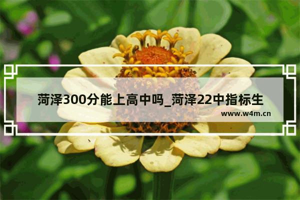 菏泽300分能上高中吗_菏泽22中指标生分数