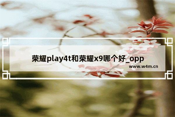 荣耀play4t和荣耀x9哪个好_oppo4g千元5000电池手机推荐