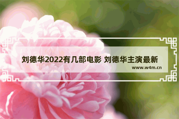 刘德华2022有几部电影 刘德华主演最新电影有哪些电影