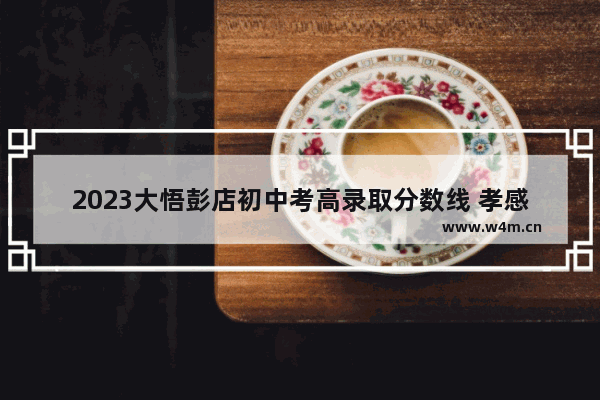 2023大悟彭店初中考高录取分数线 孝感大悟县高考分数线