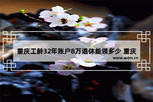 重庆工龄32年账户8万退休能领多少 重庆八万以内新车推荐哪款车最好开