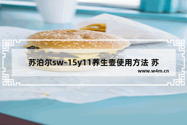 苏泊尔sw-15y11养生壶使用方法 苏泊尔迷你养生壶怎么用