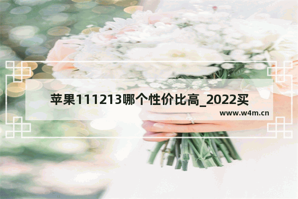 苹果111213哪个性价比高_2022买苹果几最划算