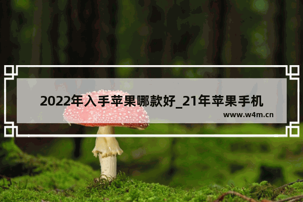 2022年入手苹果哪款好_21年苹果手机推荐