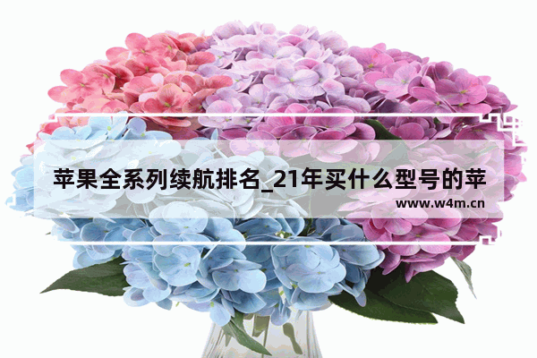 苹果全系列续航排名_21年买什么型号的苹果性价比高