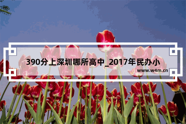 390分上深圳哪所高中_2017年民办小学多少分可以上