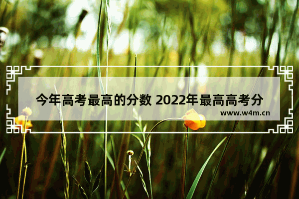 今年高考最高的分数 2022年最高高考分数线