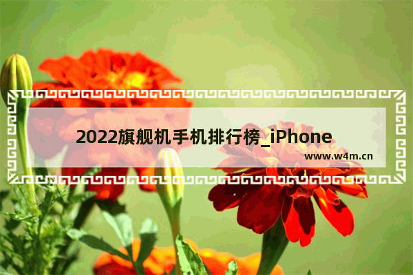 2022旗舰机手机排行榜_iPhone 哪个手机玩和平精英比较好