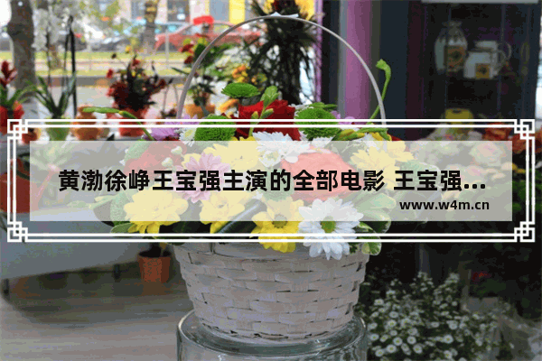 黄渤徐峥王宝强主演的全部电影 王宝强徐峥最新电影叫啥名字来着呢