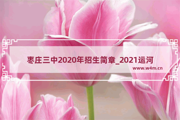 枣庄三中2020年招生简章_2021运河中学录取分数