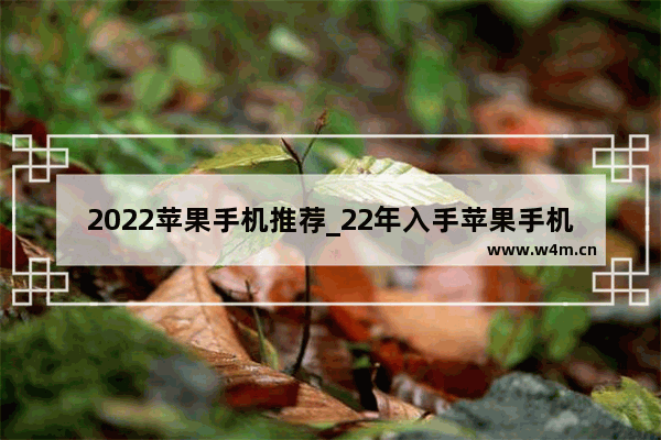 2022苹果手机推荐_22年入手苹果手机该买哪一款