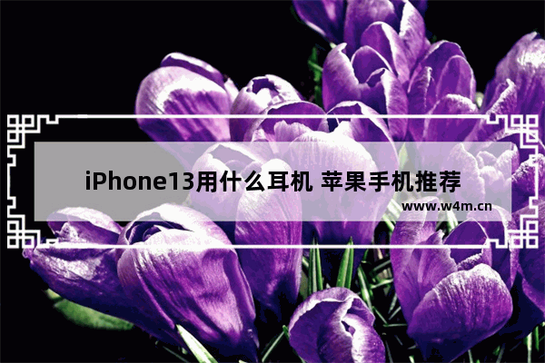 iPhone13用什么耳机 苹果手机推荐几款耳机好用