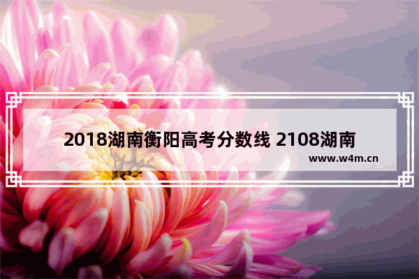 2018湖南衡阳高考分数线 2108湖南省高考分数线