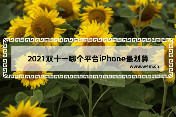 2021双十一哪个平台iPhone最划算 苹果手机推荐买哪款便宜好用又实惠