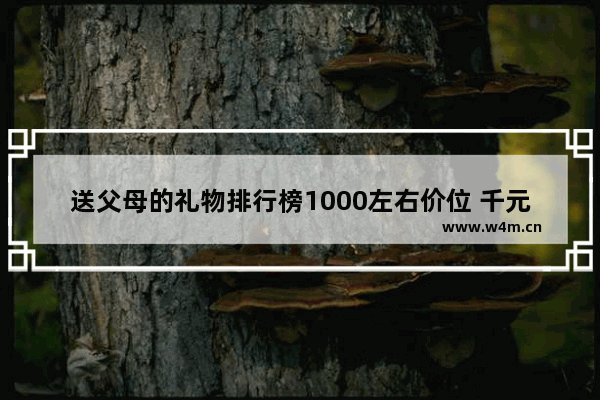 送父母的礼物排行榜1000左右价位 千元以下手机推荐送父母用