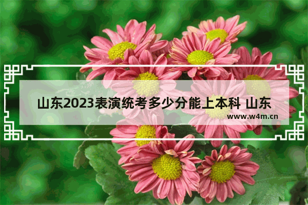 山东2023表演统考多少分能上本科 山东表演明年高考分数线