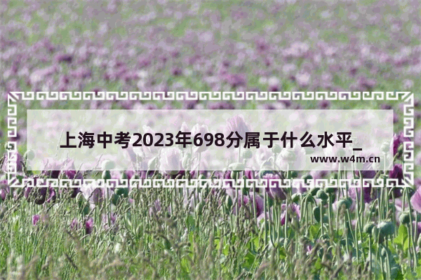 上海中考2023年698分属于什么水平_2023高考555分属于什么水平