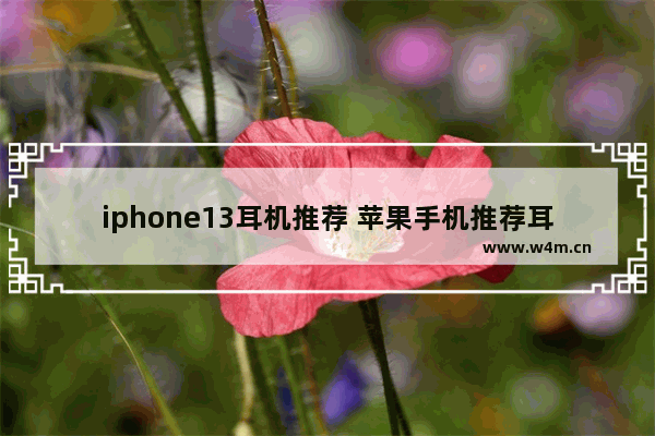 iphone13耳机推荐 苹果手机推荐耳机型号