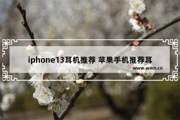 iphone13耳机推荐 苹果手机推荐耳机有哪些