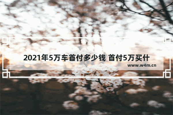 2021年5万车首付多少钱 首付5万买什么新车推荐