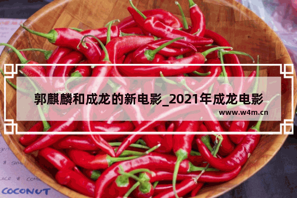 郭麒麟和成龙的新电影_2021年成龙电影