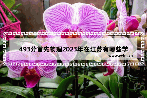 493分首先物理2023年在江苏有哪些学校可以报 江苏高考分数线物理类排名