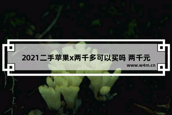 2021二手苹果x两千多可以买吗 两千元以下手机推荐苹果