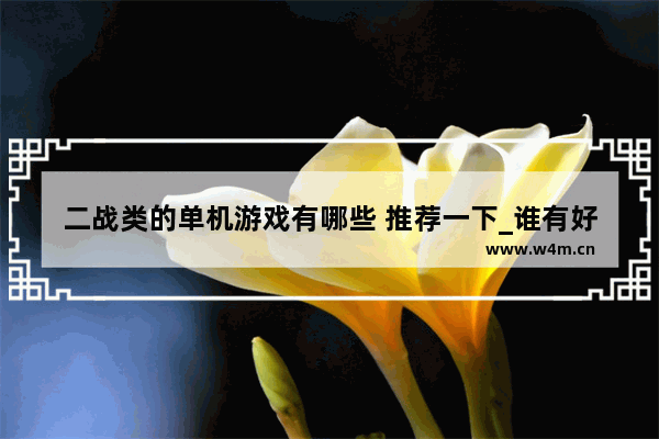 二战类的单机游戏有哪些 推荐一下_谁有好玩的二战题材的手机游戏