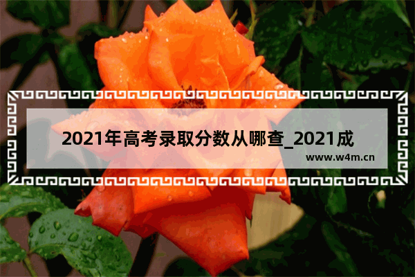 2021年高考录取分数从哪查_2021成人本科分数线什么时候出来