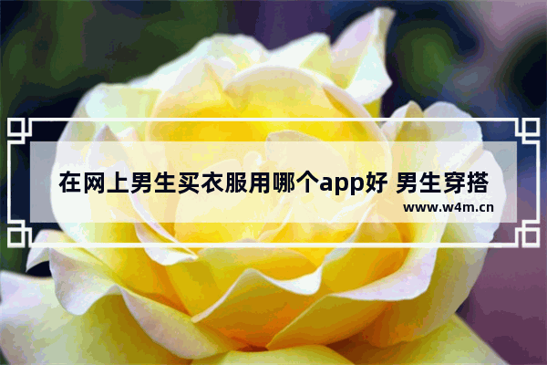 在网上男生买衣服用哪个app好 男生穿搭一般在哪看