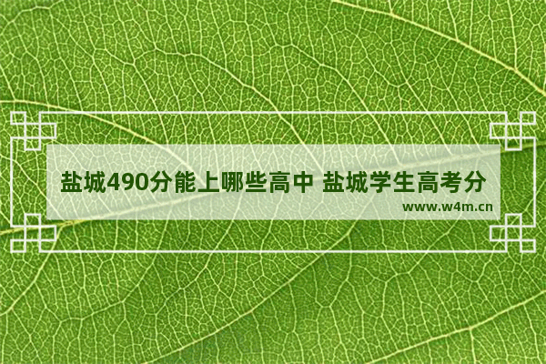 盐城490分能上哪些高中 盐城学生高考分数线是多少