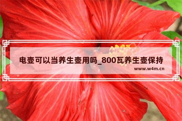 电壶可以当养生壶用吗_800瓦养生壶保持50度一天用多少电