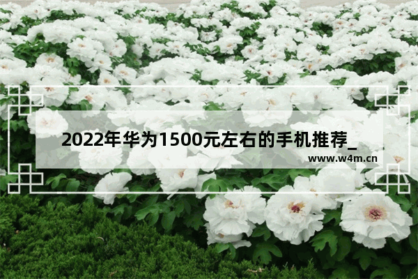 2022年华为1500元左右的手机推荐_一千以内预算手机推荐哪款