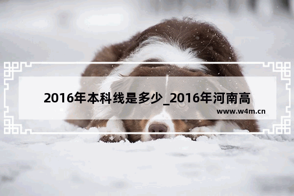 2016年本科线是多少_2016年河南高考录取分数线