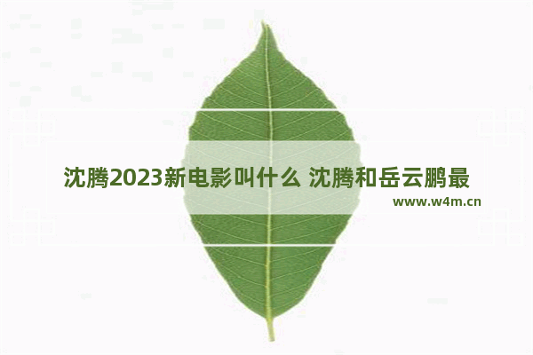 沈腾2023新电影叫什么 沈腾和岳云鹏最新电影叫什么名字