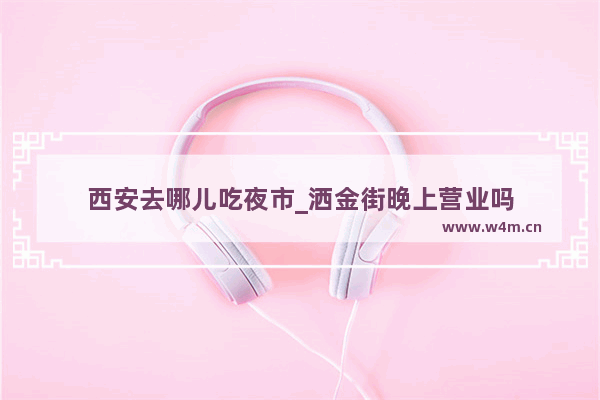 西安去哪儿吃夜市_洒金街晚上营业吗