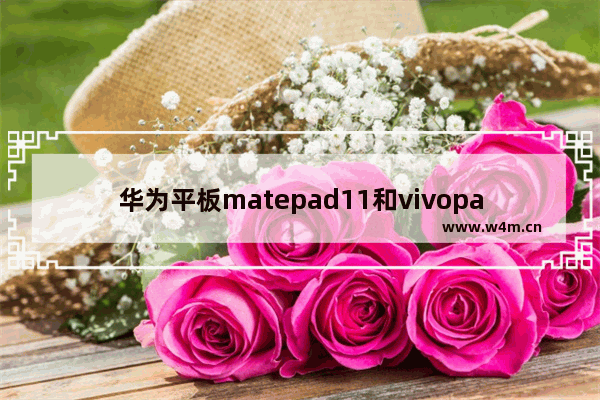 华为平板matepad11和vivopad2哪个好 近期买手机推荐华为平板