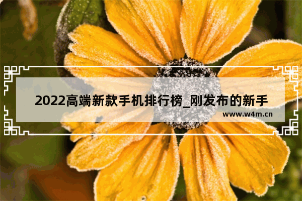 2022高端新款手机排行榜_刚发布的新手机值得买吗