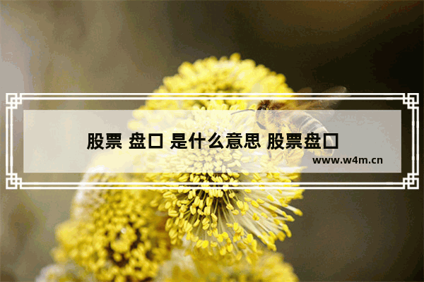 股票 盘口 是什么意思 股票盘囗