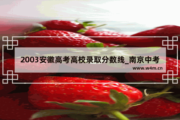 2003安徽高考高校录取分数线_南京中考历年总分