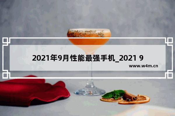 2021年9月性能最强手机_2021 9月荣耀手机买哪款好