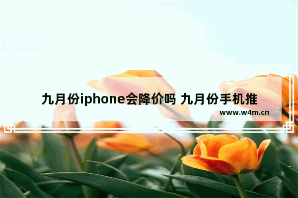 九月份iphone会降价吗 九月份手机推荐