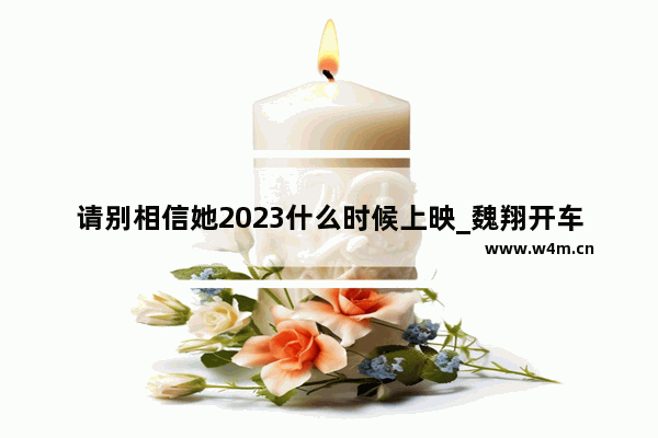 请别相信她2023什么时候上映_魏翔开车嗨起来什么电影